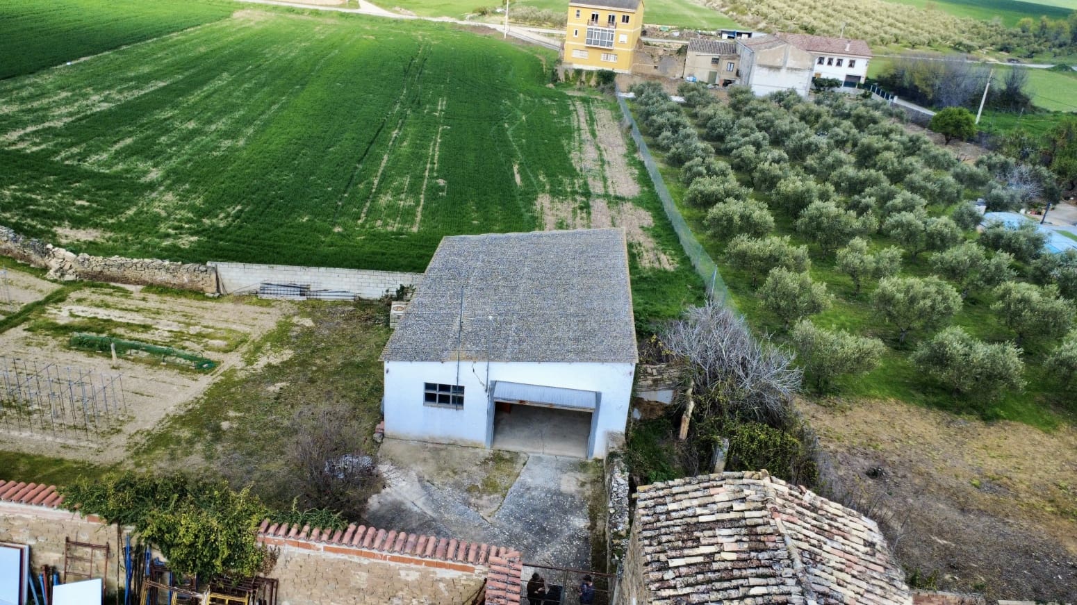 Commercial for sale in Allo - € 85,000 (Ref: 9941845)