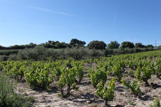 Bouwgrond te koop in Tafalla - € 60.000 (Ref: 9972950)