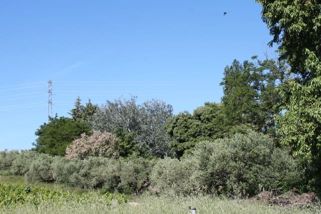 Bouwgrond te koop in Tafalla - € 60.000 (Ref: 9972950)