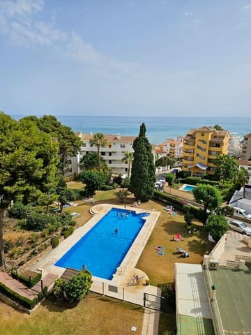 Studio til leje i Parque de la Paloma, Benalmádena med swimmingpool garage - € 750 (Ref: 9134591)