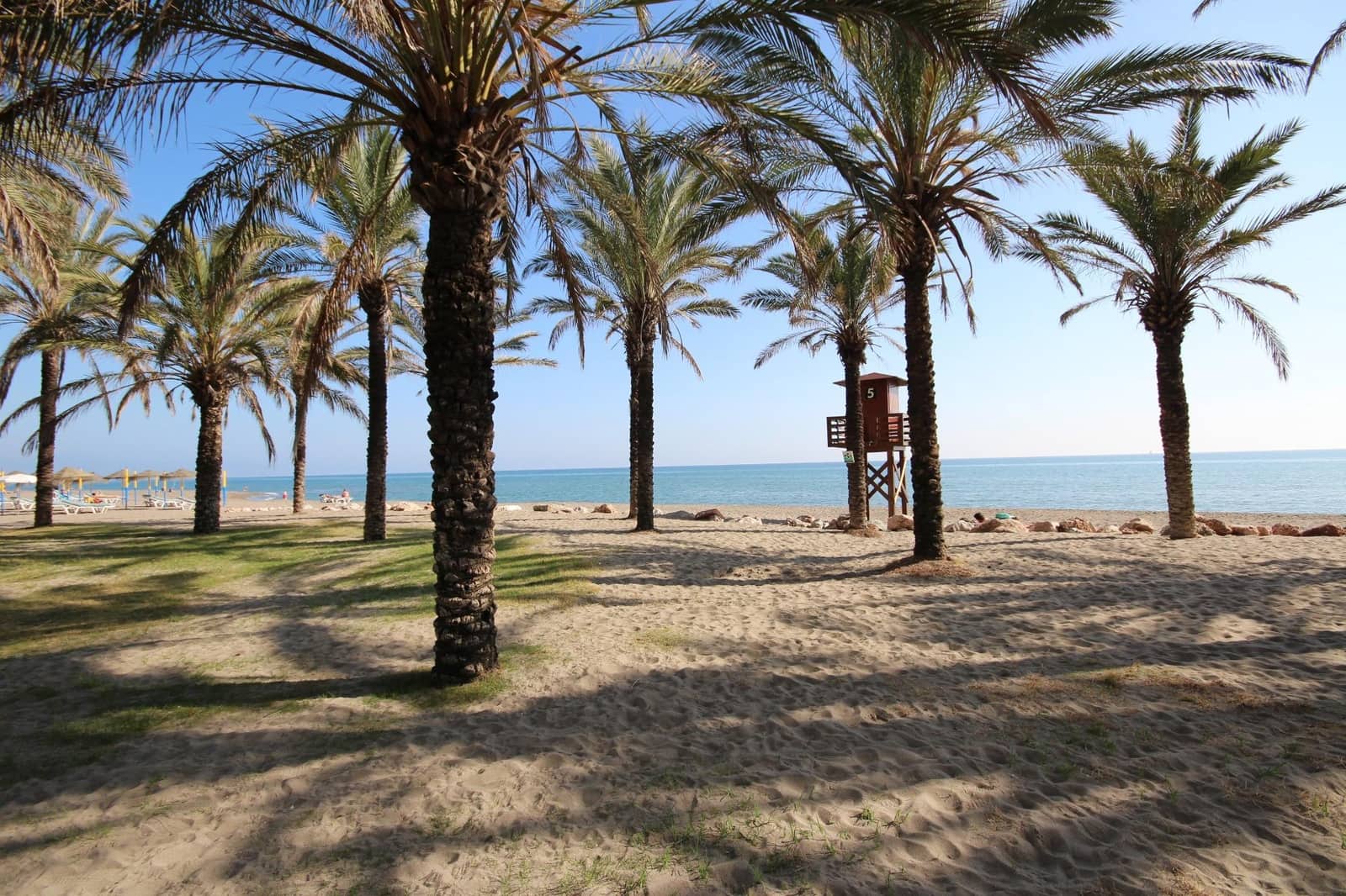 1 sovrum Lägenhet att hyra i Torremolinos med pool - 1 250 € (Ref: 9818014)