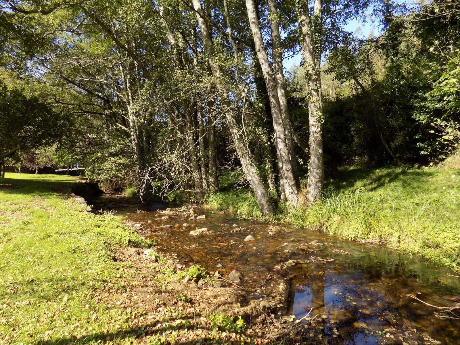 9 slaapkamer Villa te koop in Soto del Barco - € 595.000 (Ref: 4804255)