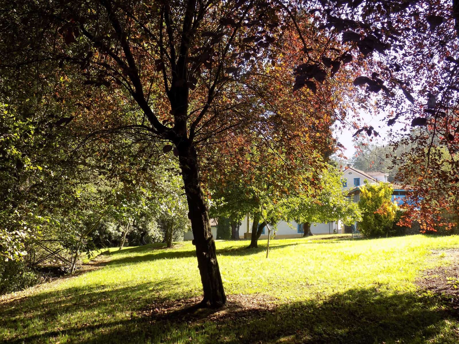 9 slaapkamer Villa te koop in Soto del Barco - € 595.000 (Ref: 4804255)