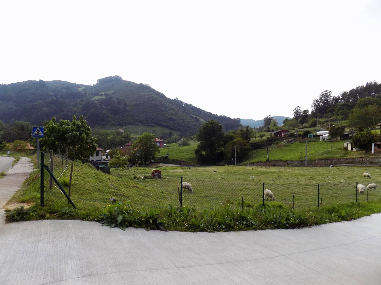 Grunde uden byggetilladelser til salg i Candamo - € 55.000 (Ref: 4804276)