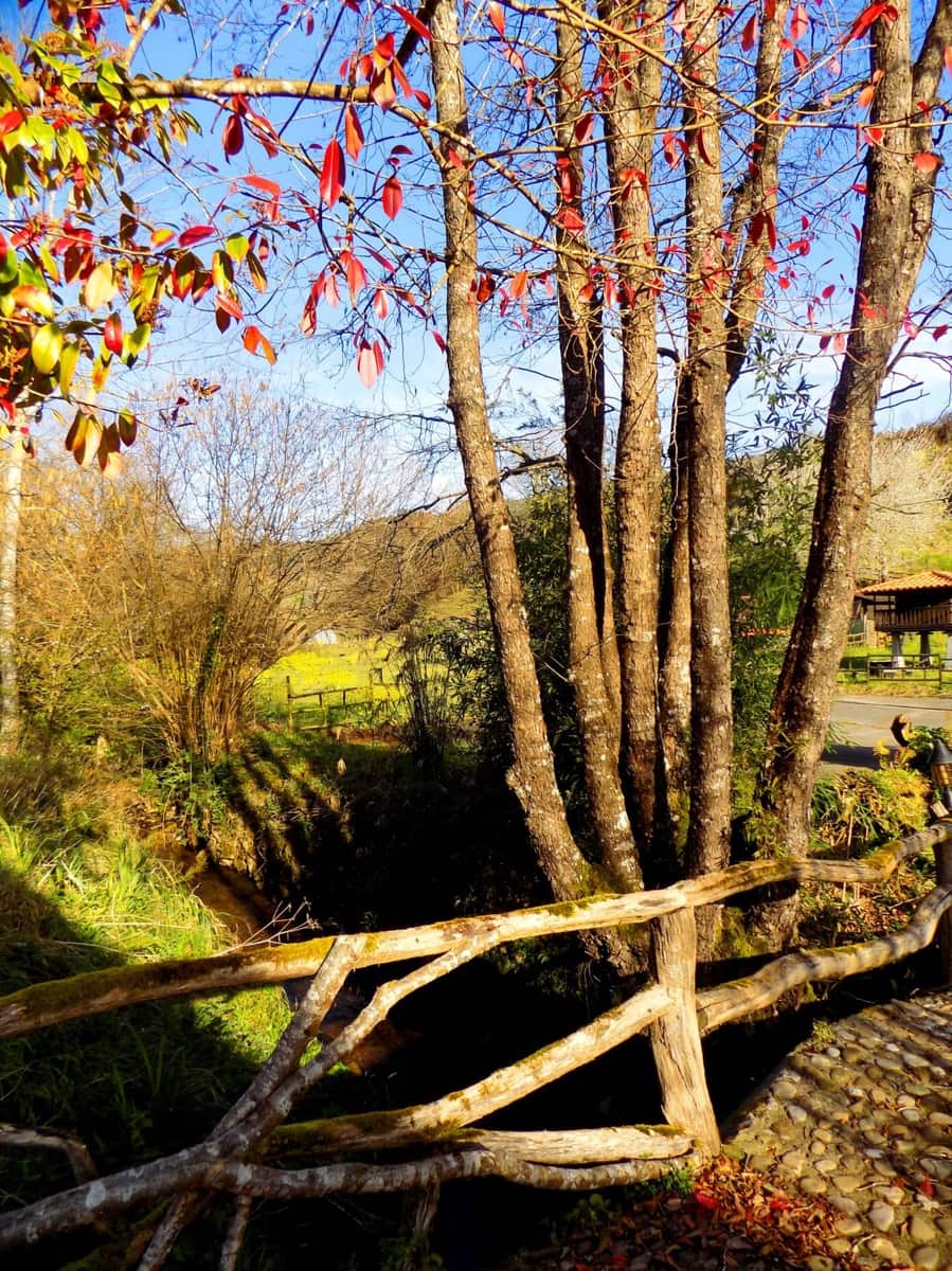 13 chambre Finca/Maison de Campagne à vendre à Llanes avec piscine - 850 000 € (Ref: 4805562)