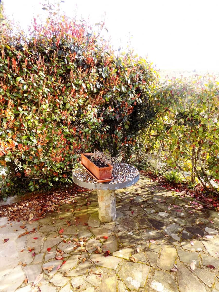 13 chambre Finca/Maison de Campagne à vendre à Llanes avec piscine - 850 000 € (Ref: 4805562)