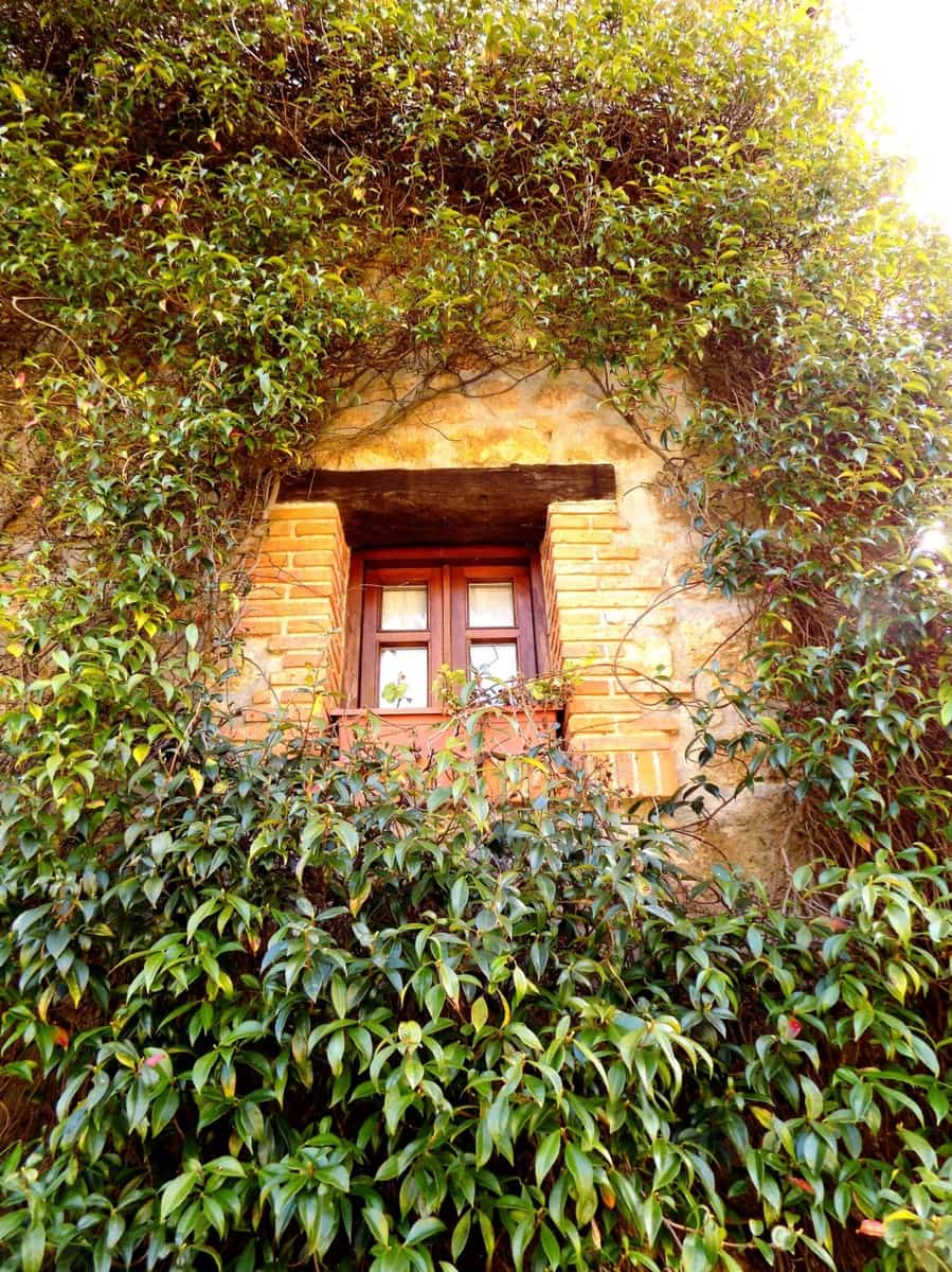 13 chambre Finca/Maison de Campagne à vendre à Llanes avec piscine - 850 000 € (Ref: 4805562)