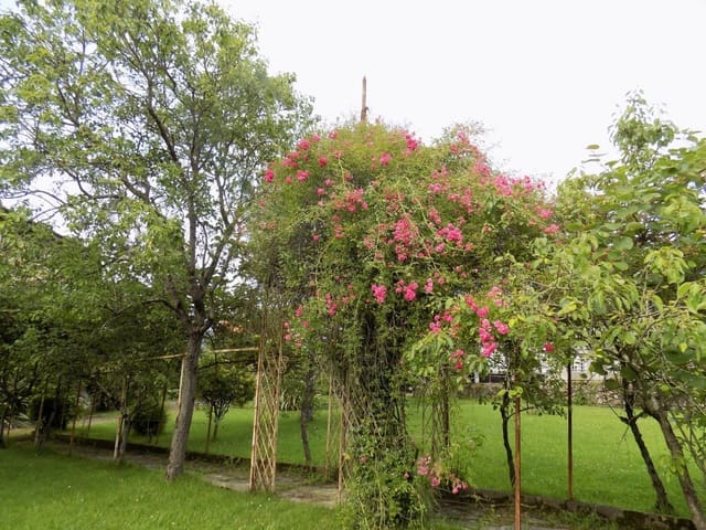 9 soveværelse Villa til salg i Pravia med garage - € 1.240.000 (Ref: 4805582)