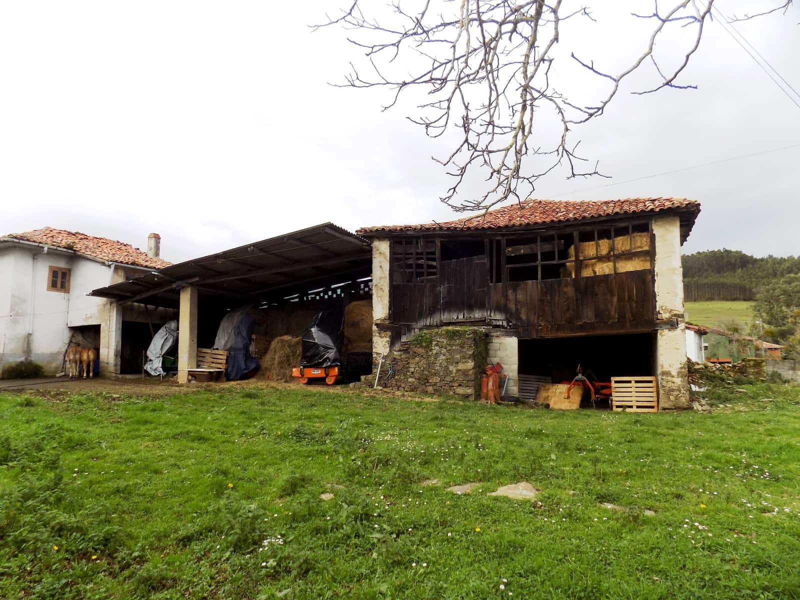 3 soveværelse Byhus til salg i Pravia - € 99.800 (Ref: 5085419)