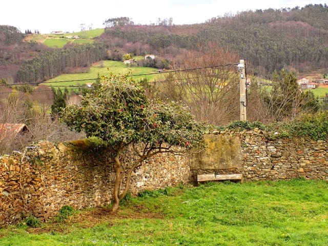 3 chambre Maison de Ville à vendre à Pravia - 99 800 € (Ref: 5085419)