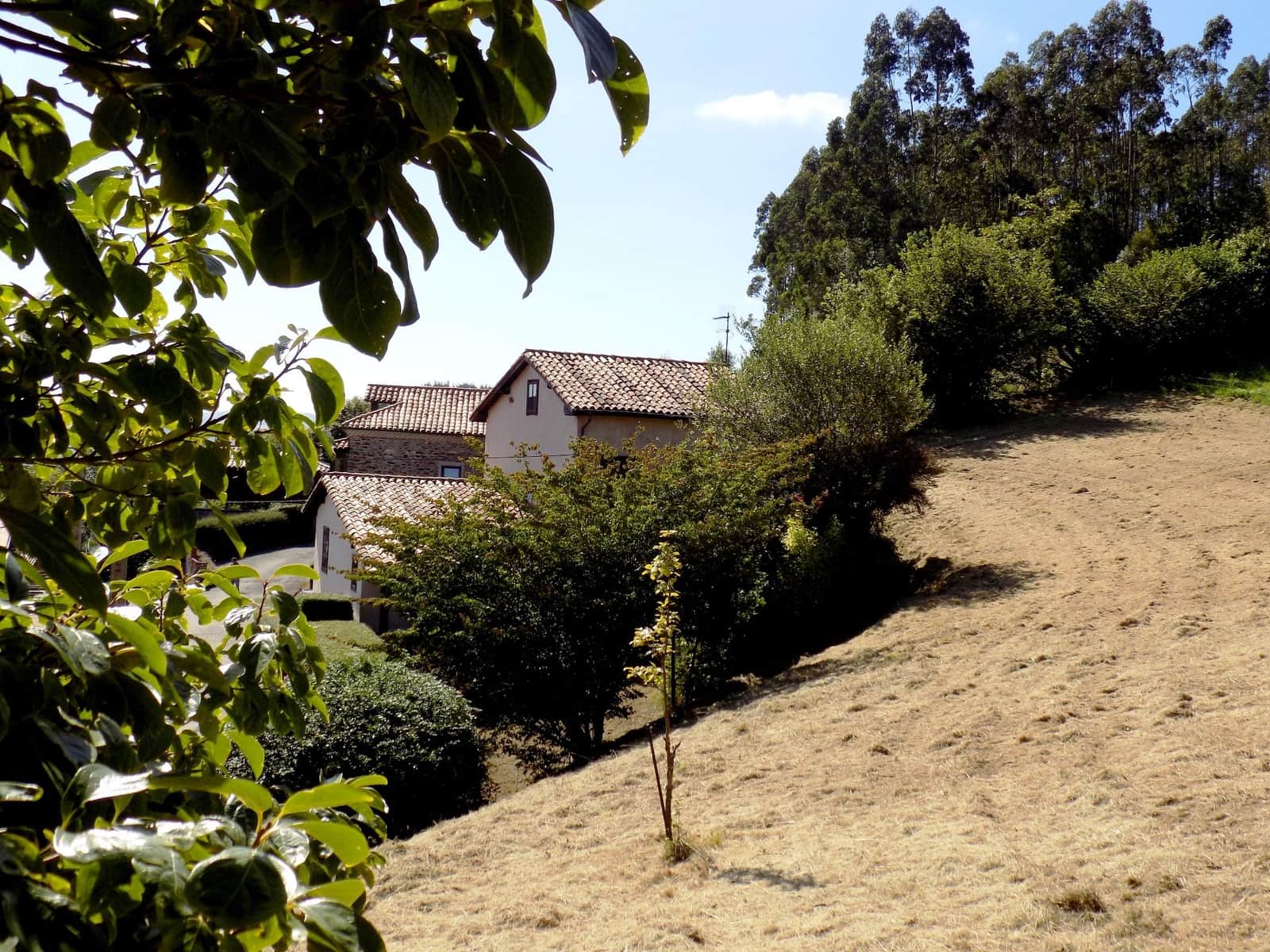 4 soveværelse Villa til salg i Pravia - € 270.000 (Ref: 5439180)