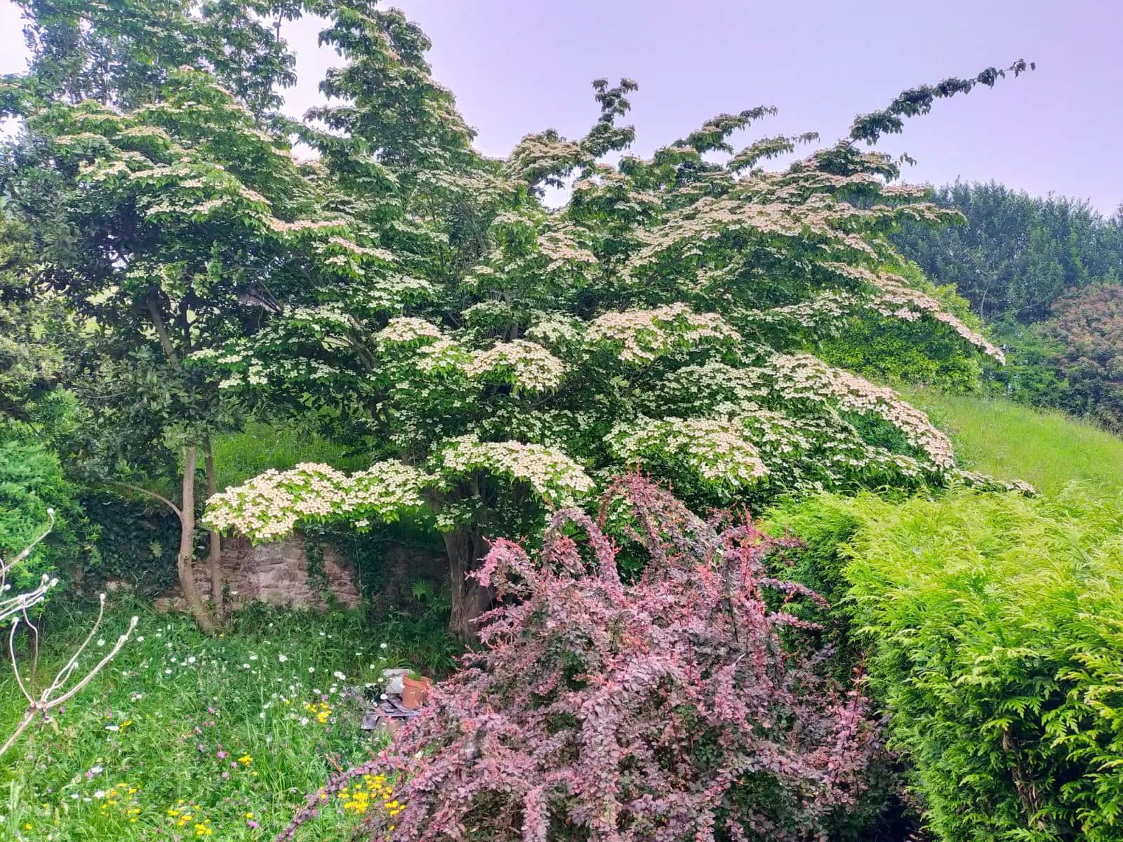 4 soveværelse Villa til salg i Pravia - € 270.000 (Ref: 5439180)