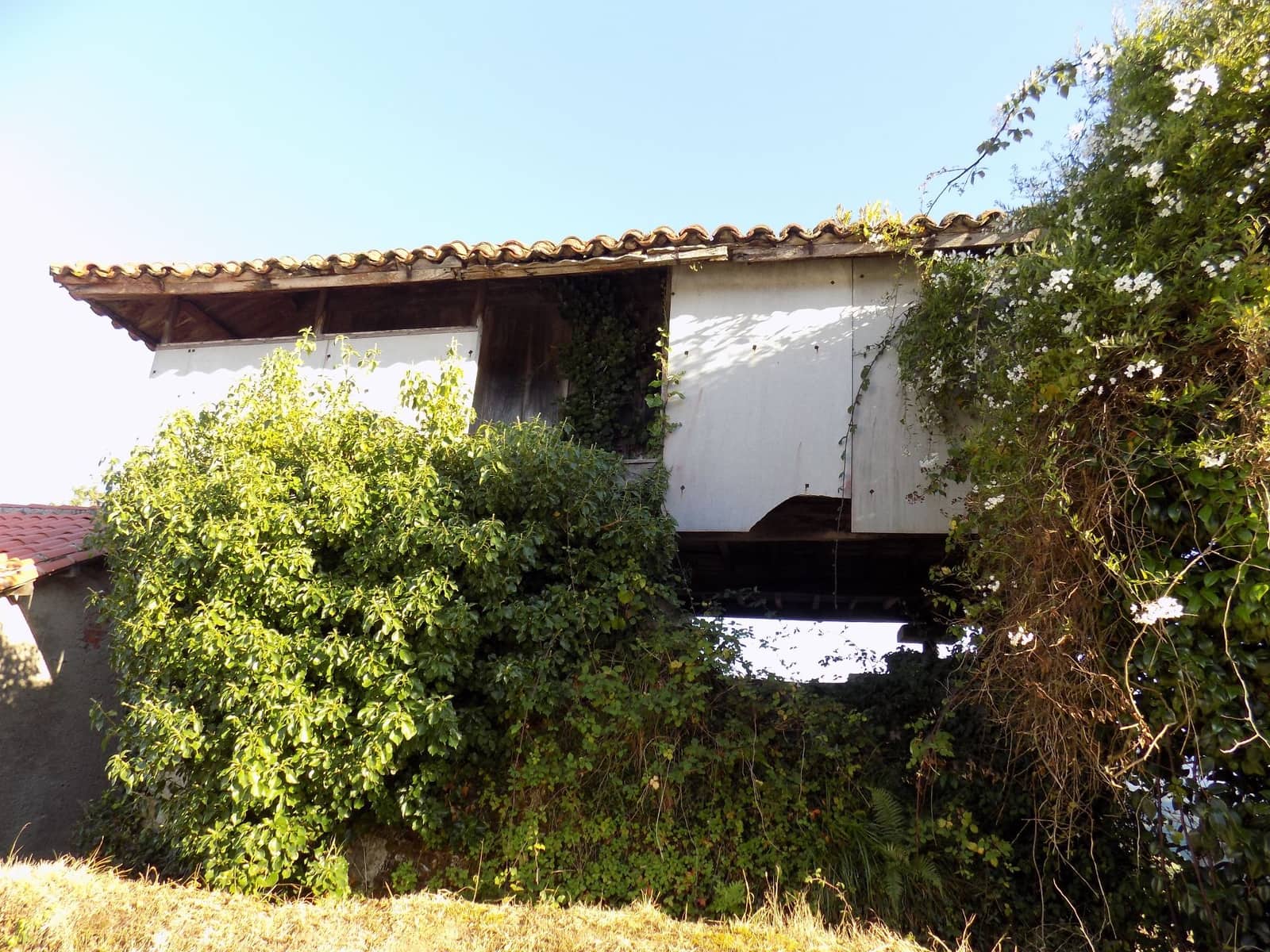 4 sypialnia Dom na sprzedaż w Pravia - 110 000 € (Ref: 5486972)