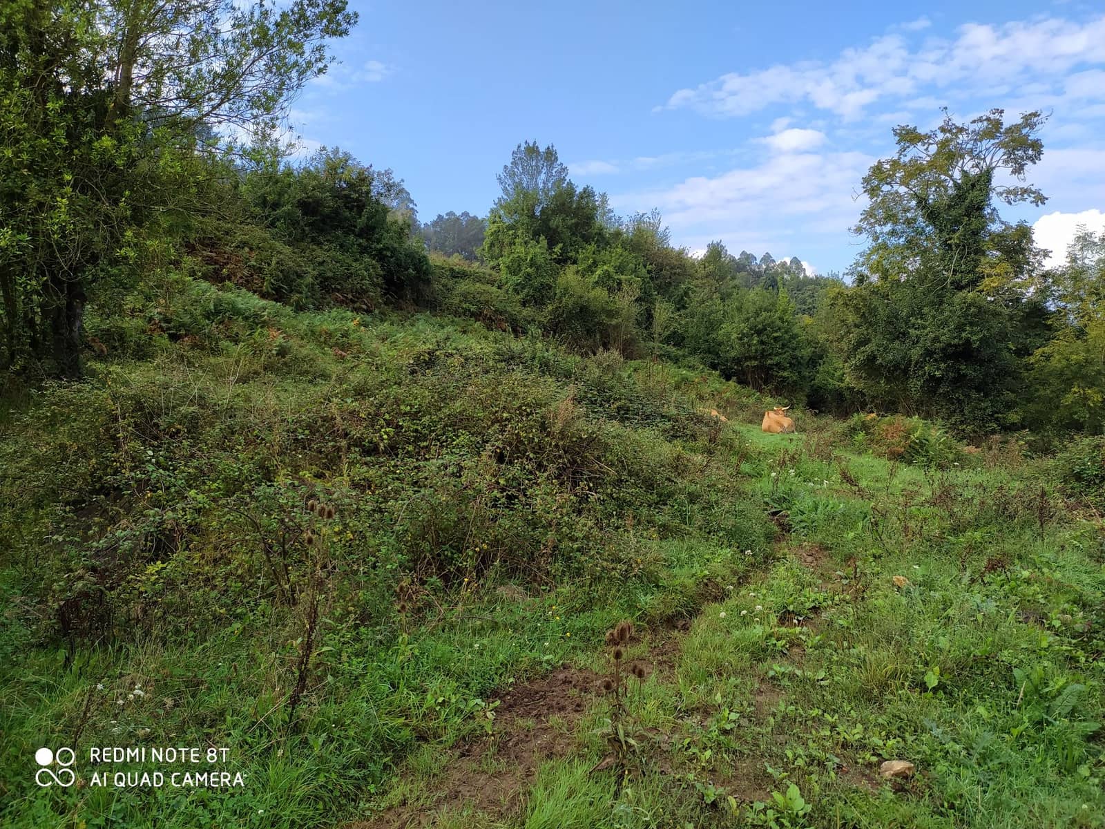 6 soveværelse Byhus til salg i Pravia - € 90.000 (Ref: 5618132)