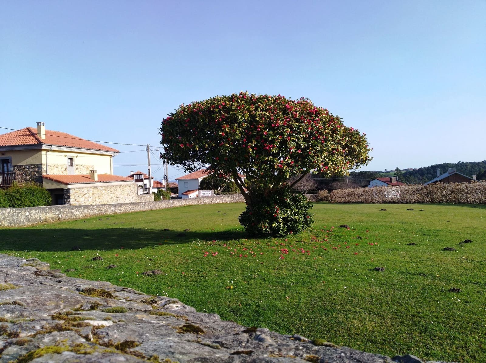 Ubebygd land til salgs i Cudillero - € 75 000 (Ref: 5634792)