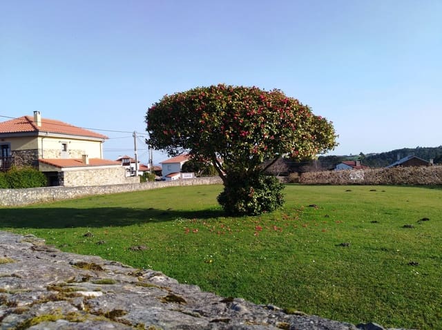 Mark till salu i Cudillero - 75 000 € (Ref: 5634792)