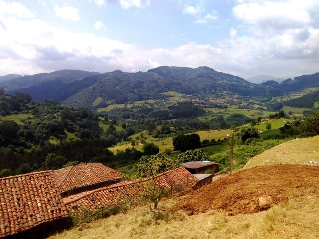 Undeveloped Land for sale in Candamo - € 28,500 (Ref: 5655622)