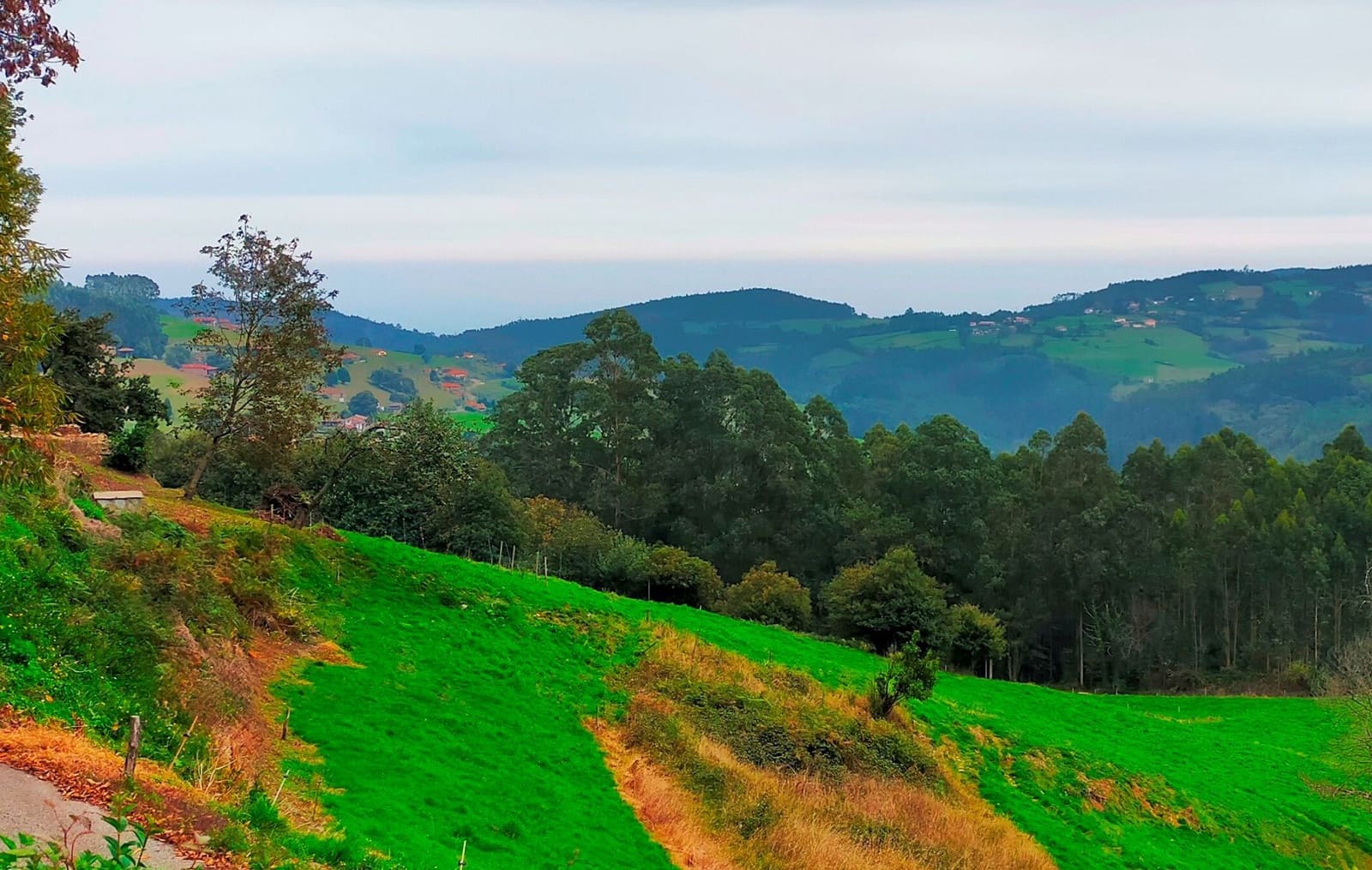 Grond te koop in Pravia - € 24.000 (Ref: 6397256)