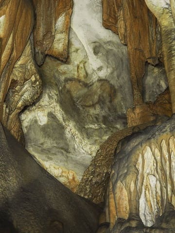 Mark till salu i Candamo - 20 000 € (Ref: 6815676)