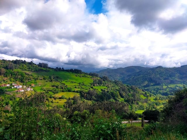 Mark till salu i Candamo - 20 000 € (Ref: 6815676)