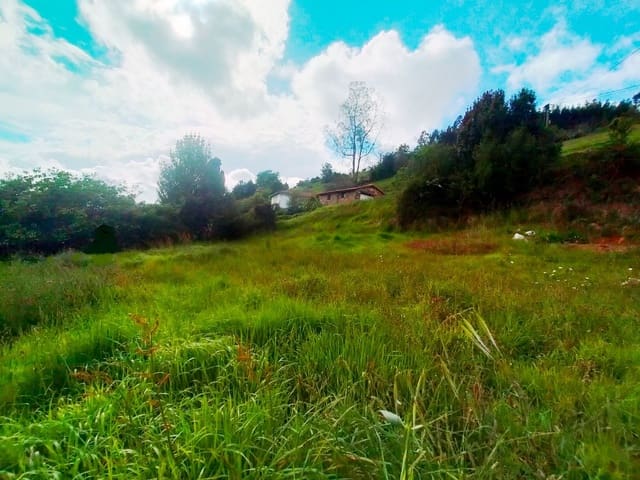 Mark till salu i Candamo - 20 000 € (Ref: 6815676)