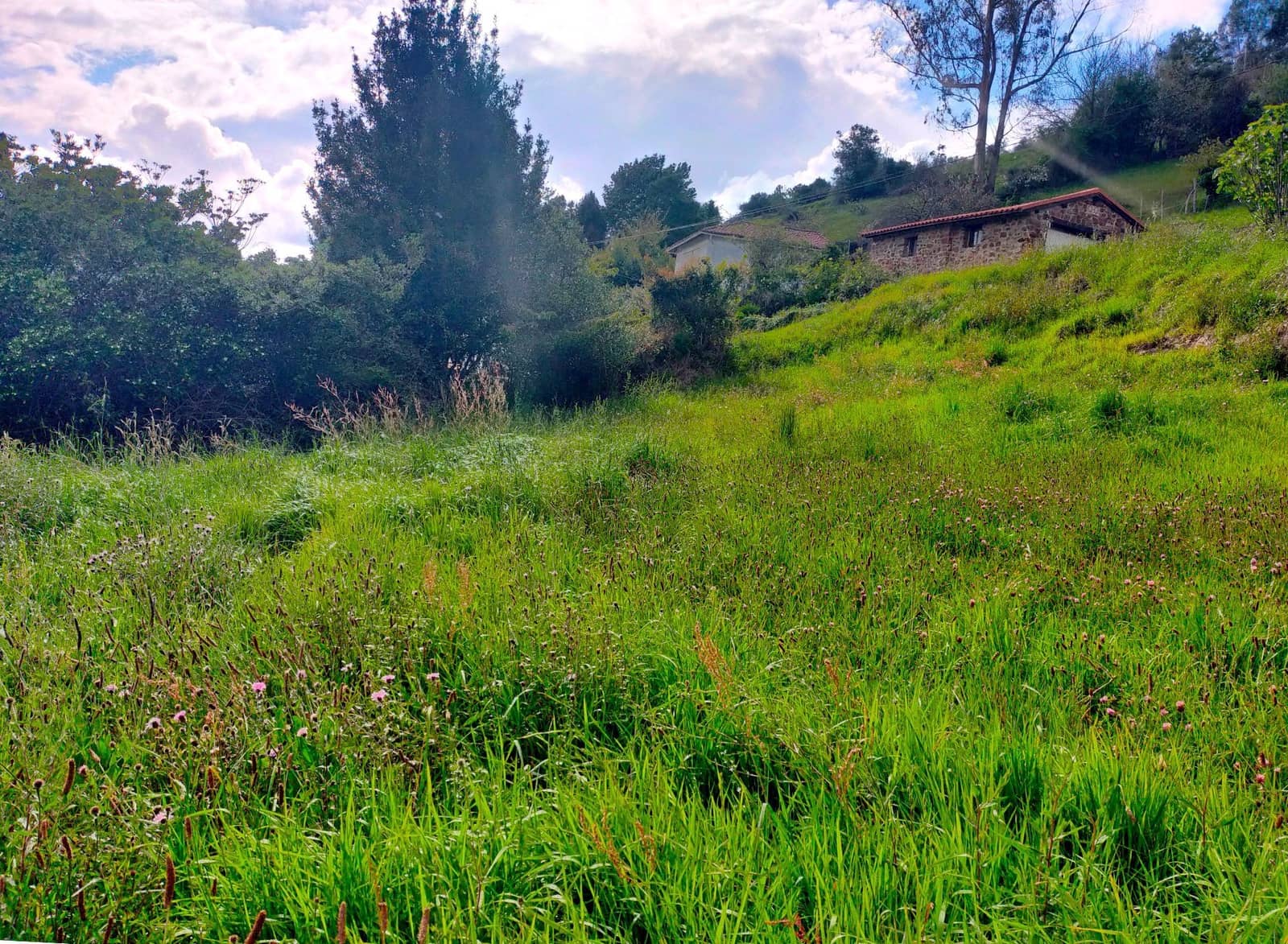 Grond te koop in Candamo - € 20.000 (Ref: 6815676)