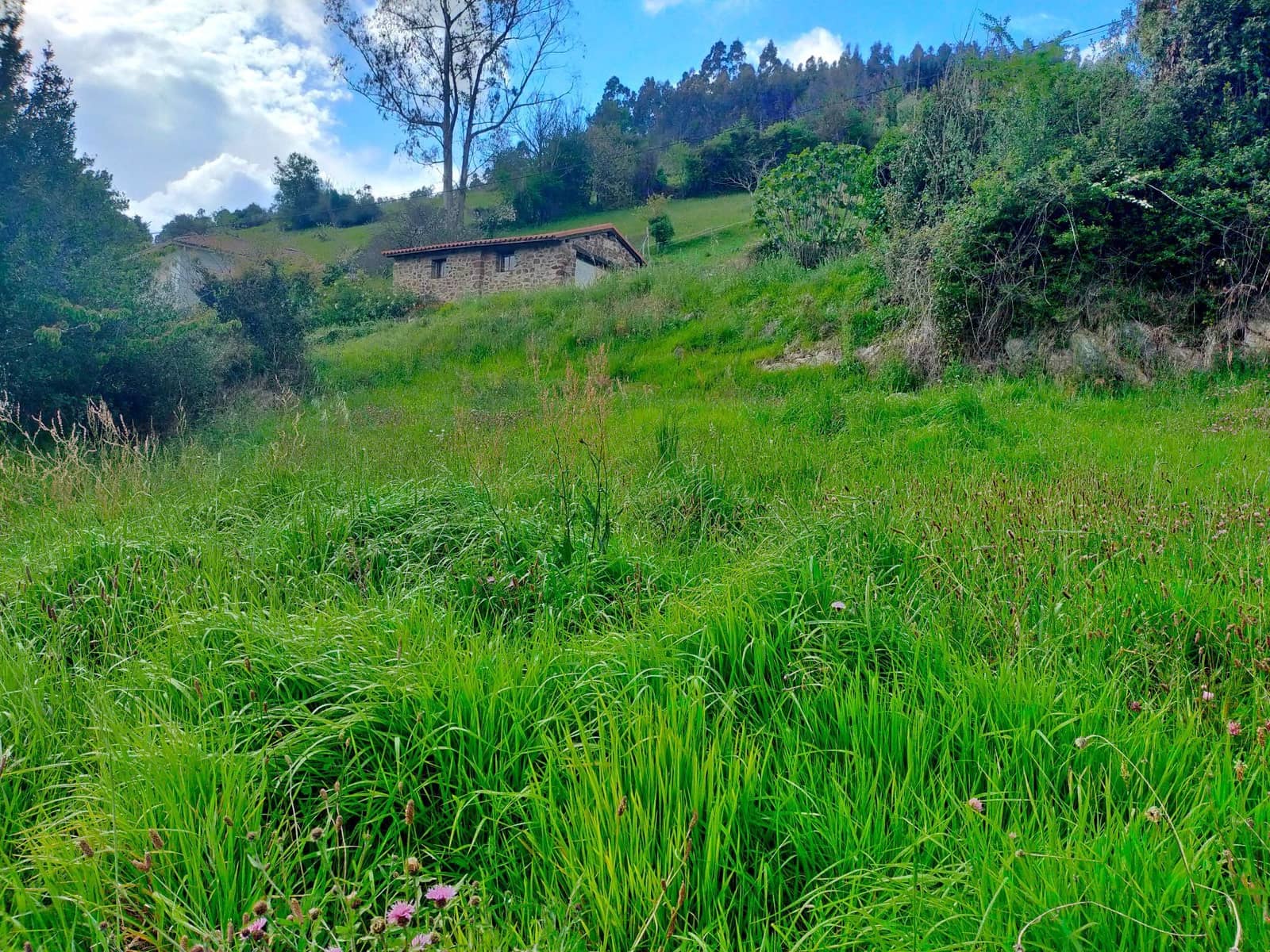 Grond te koop in Candamo - € 20.000 (Ref: 6815676)