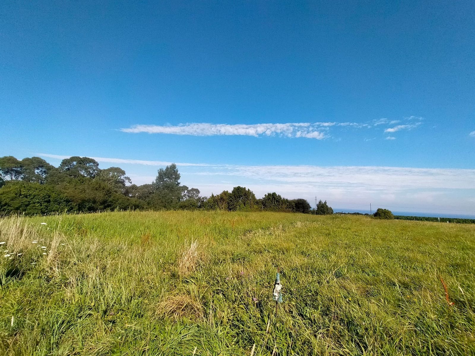 Grond te koop in Cudillero - € 100.000 (Ref: 7066272)