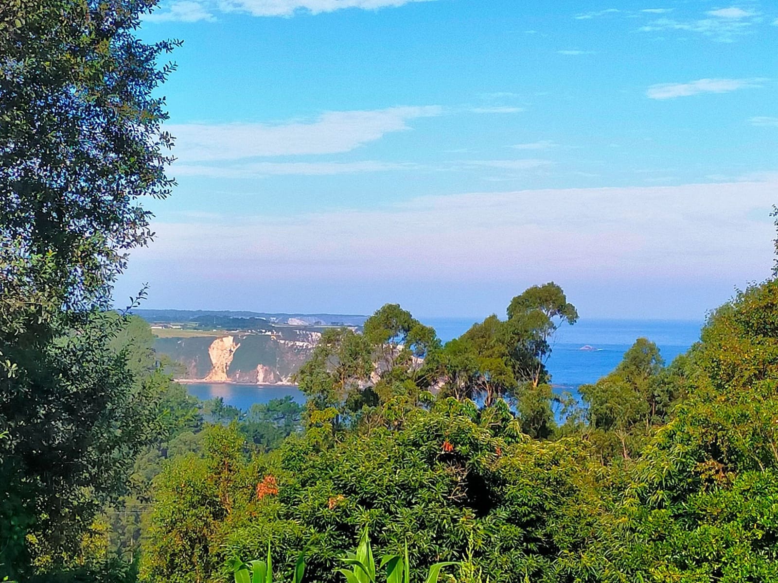 Grond te koop in Cudillero - € 100.000 (Ref: 7066272)