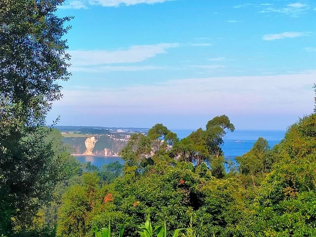 Mark till salu i Cudillero - 100 000 € (Ref: 7066272)