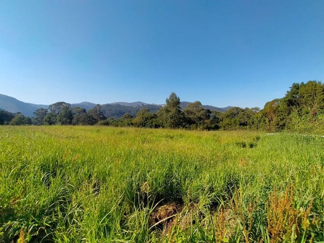 Mark till salu i Cudillero - 100 000 € (Ref: 7066272)