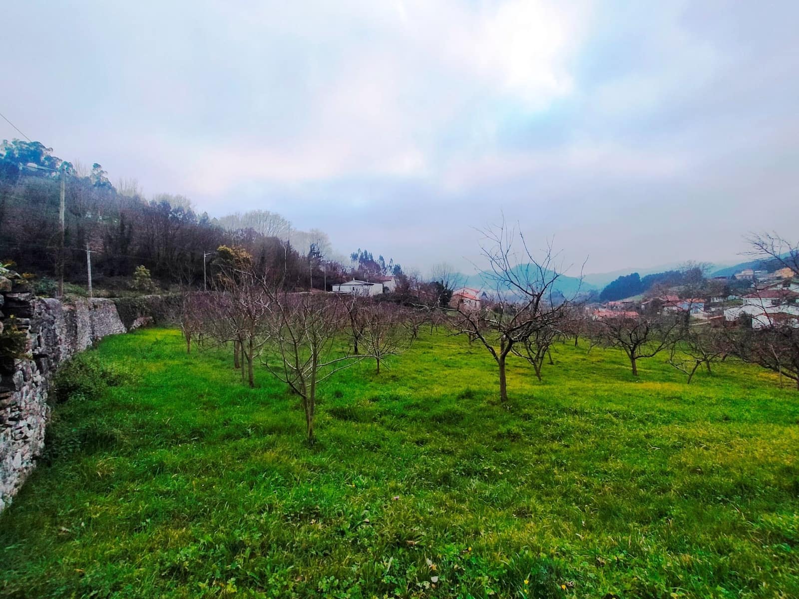 Ubebygd land til salgs i Pravia - € 53 340 (Ref: 7410774)