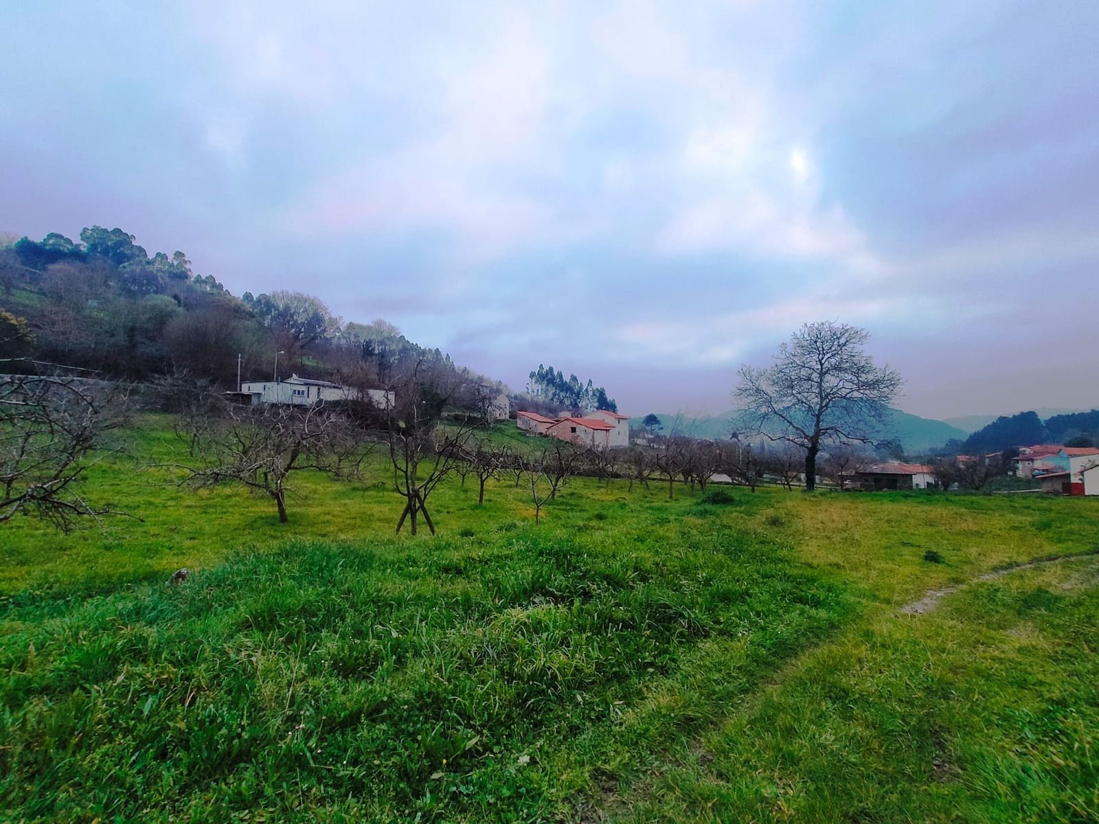 Ubebygd land til salgs i Pravia - € 53 340 (Ref: 7410774)