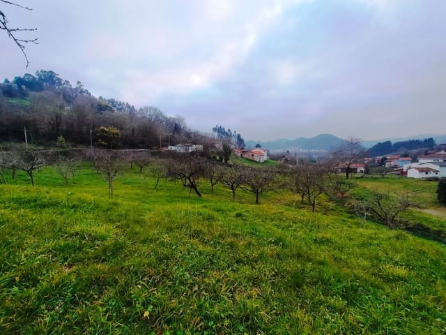 Undeveloped Land for sale in Pravia - € 53,340 (Ref: 7410774)