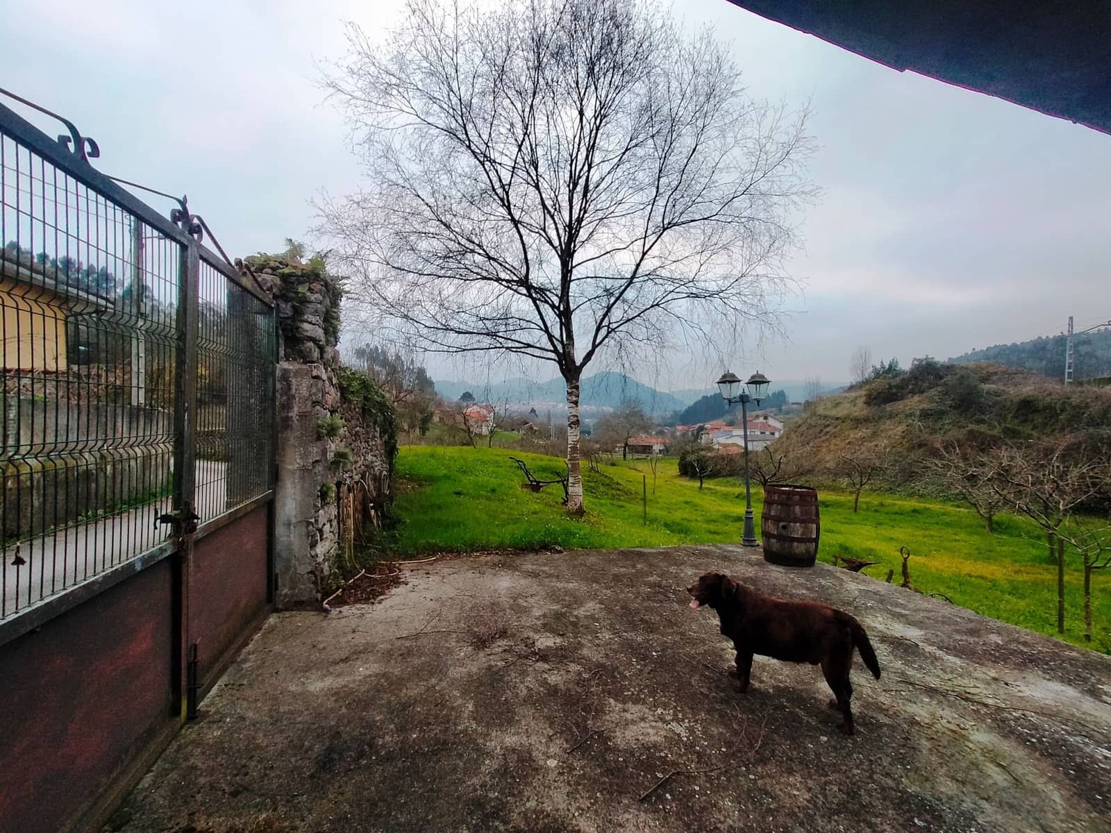 Ubebygd land til salgs i Pravia - € 53 340 (Ref: 7410774)