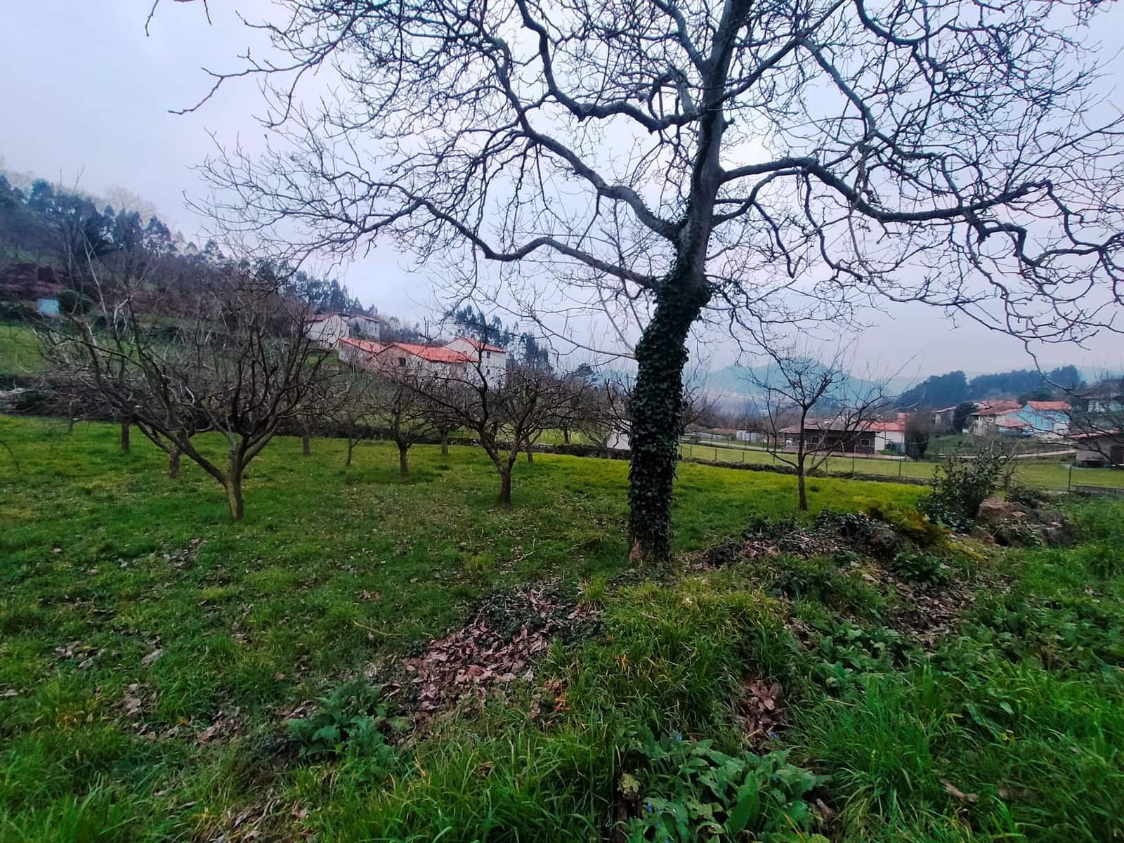 Ubebygd land til salgs i Pravia - € 53 340 (Ref: 7410774)