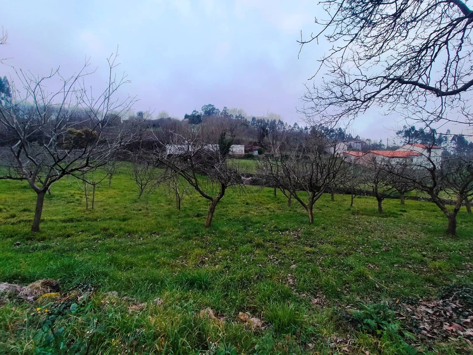 Ubebygd land til salgs i Pravia - € 53 340 (Ref: 7410774)