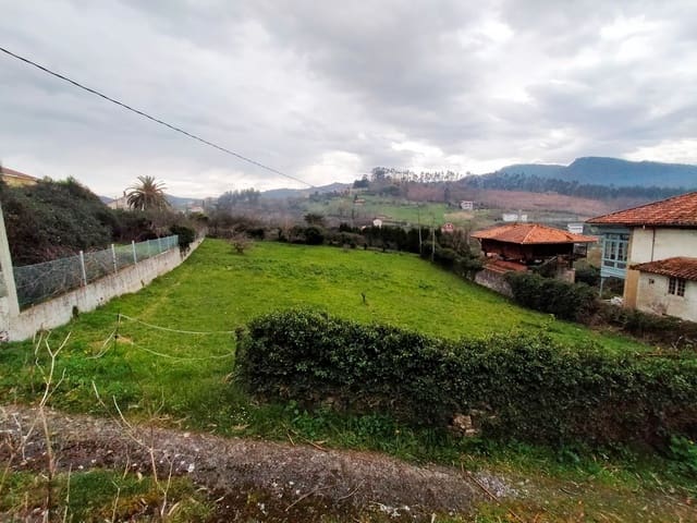 Undeveloped Land for sale in Pravia - € 48,000 (Ref: 7475018)
