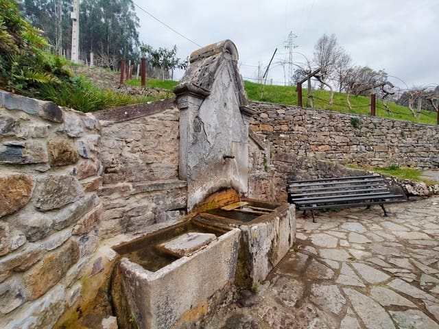 Undeveloped Land for sale in Pravia - € 48,000 (Ref: 7475018)