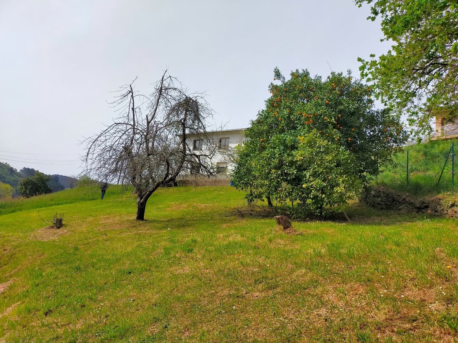 Grunde uden byggetilladelser til salg i Candamo - € 90.000 (Ref: 7519233)