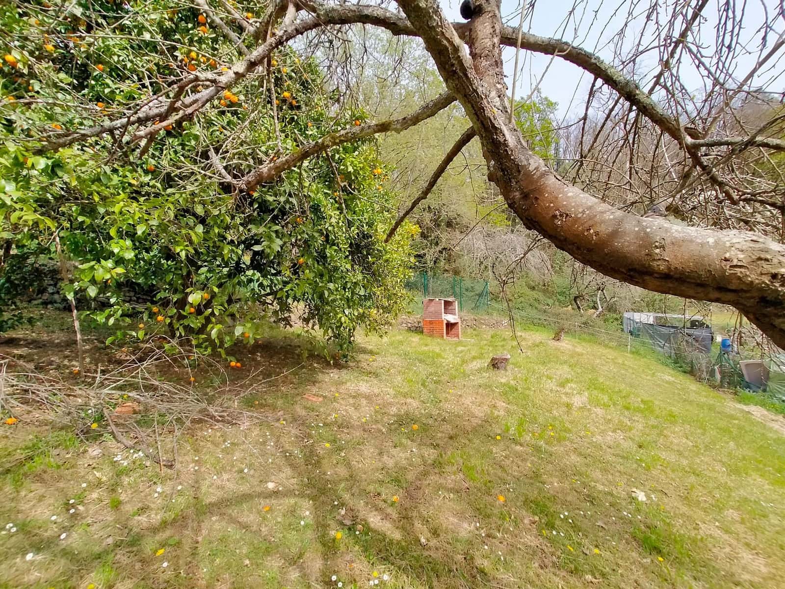 Grunde uden byggetilladelser til salg i Candamo - € 90.000 (Ref: 7519233)