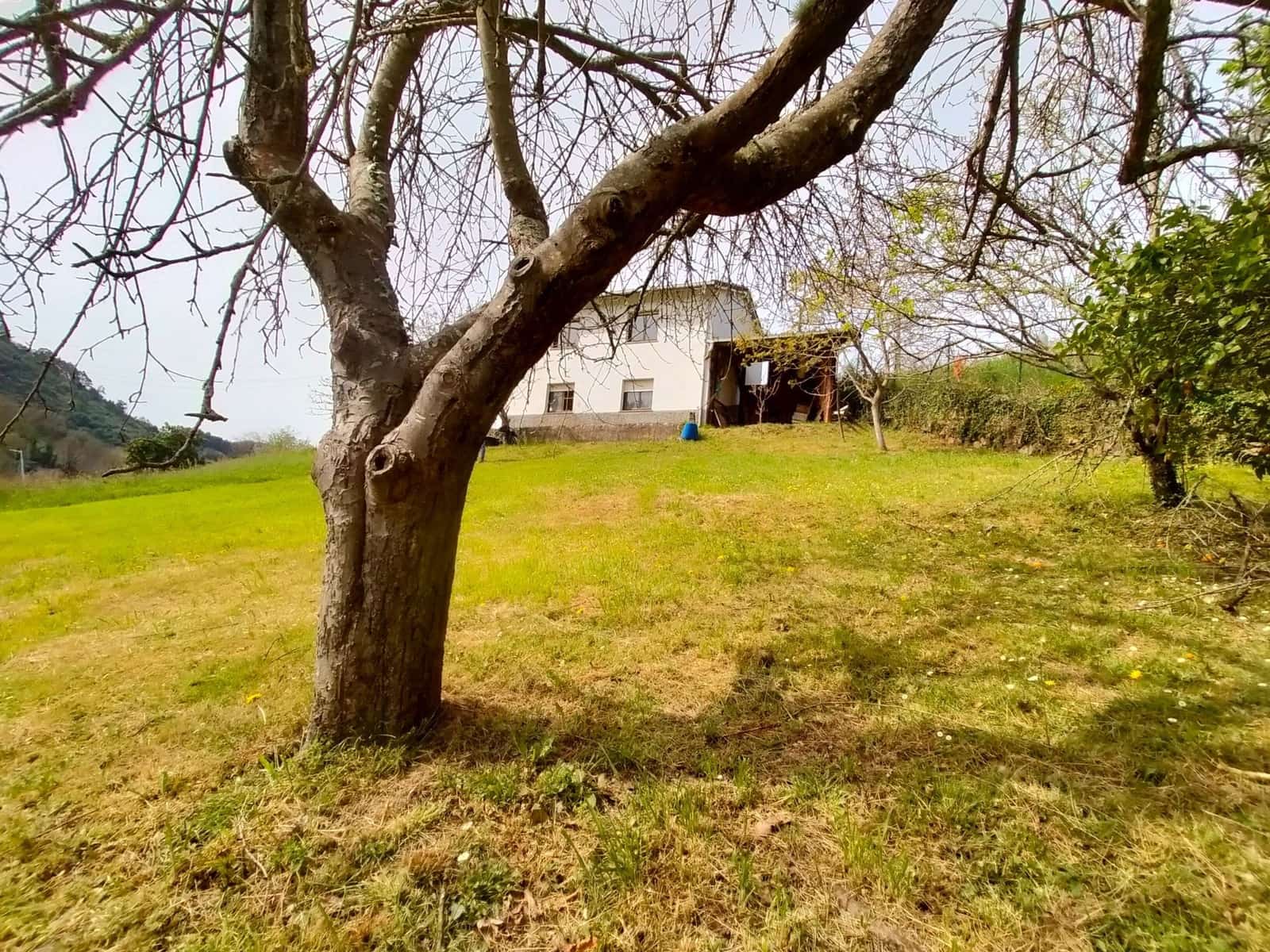 Grunde uden byggetilladelser til salg i Candamo - € 90.000 (Ref: 7519233)