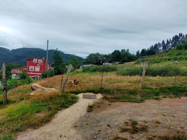 Undeveloped Land for sale in Pravia - € 60,000 (Ref: 7704233)