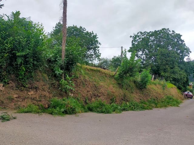 Undeveloped Land for sale in Pravia - € 60,000 (Ref: 7704233)