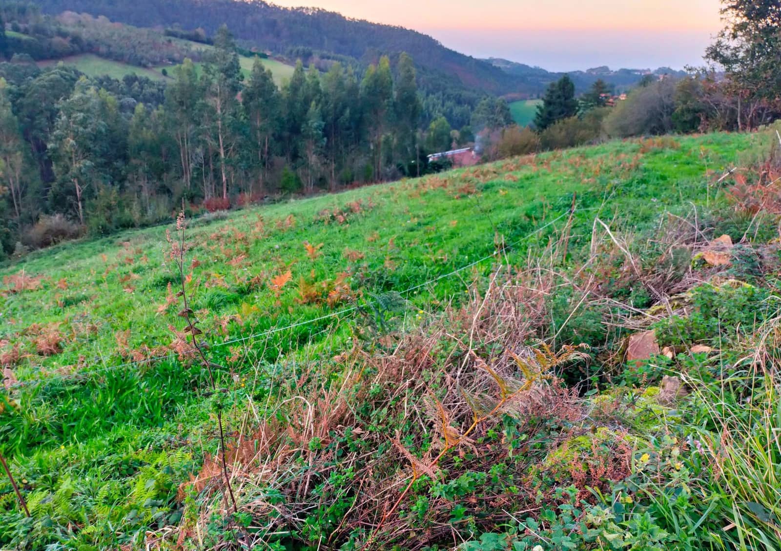 Grond te koop in Pravia - € 150.000 (Ref: 7984516)