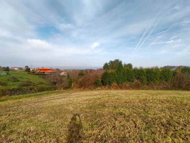 Mark till salu i Cudillero - 75 000 € (Ref: 8065481)