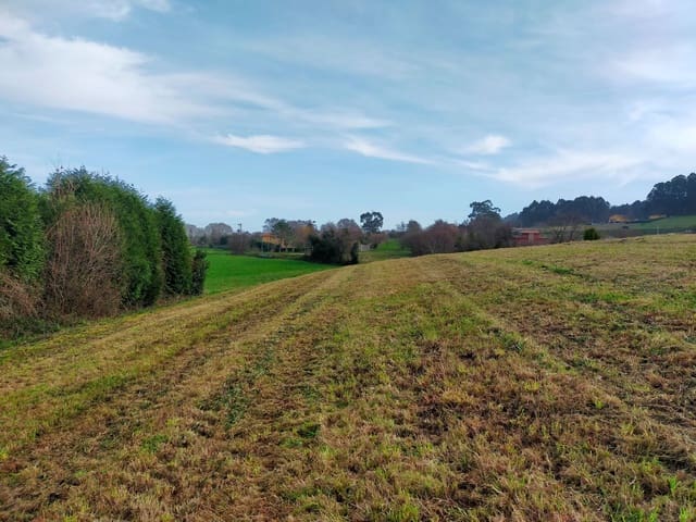 Mark till salu i Cudillero - 75 000 € (Ref: 8065481)