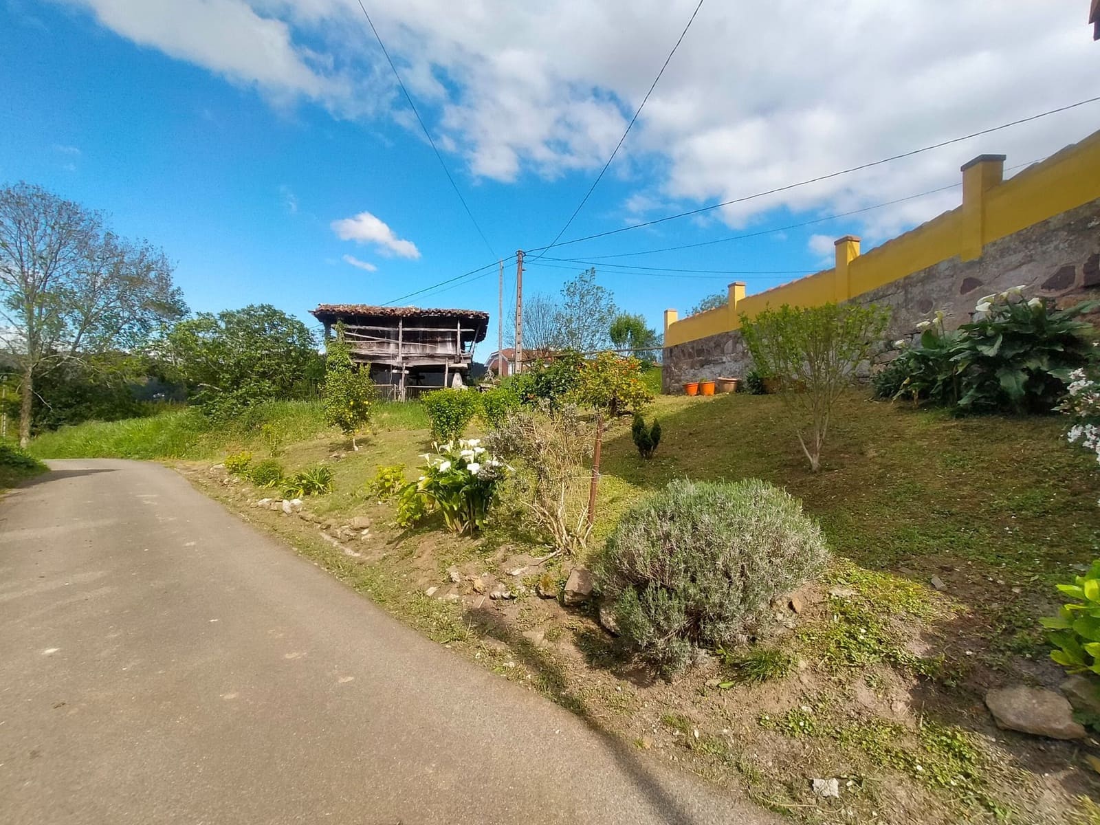 Ubebygd land til salgs i Candamo - € 68 000 (Ref: 8245312)