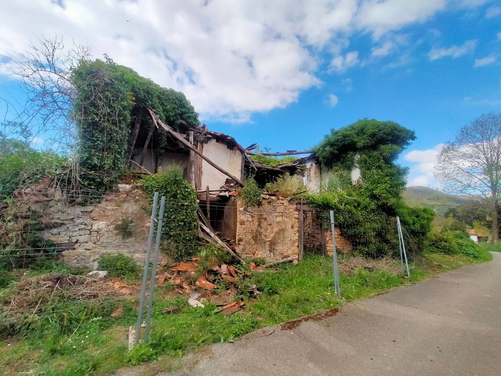 Ubebygd land til salgs i Candamo - € 68 000 (Ref: 8245312)