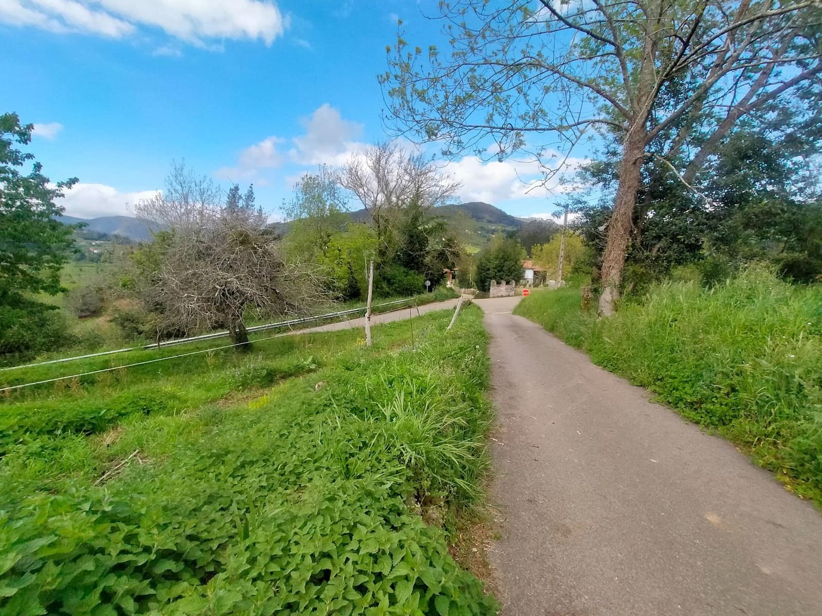 Ubebygd land til salgs i Candamo - € 68 000 (Ref: 8245312)